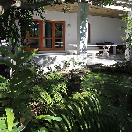 Haven of Peace&Garden Cottage Hermanus Buitenkant foto
