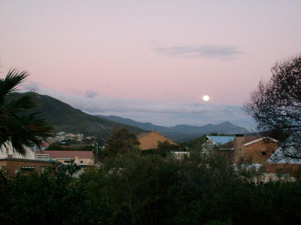 Haven of Peace&Garden Cottage Hermanus Buitenkant foto