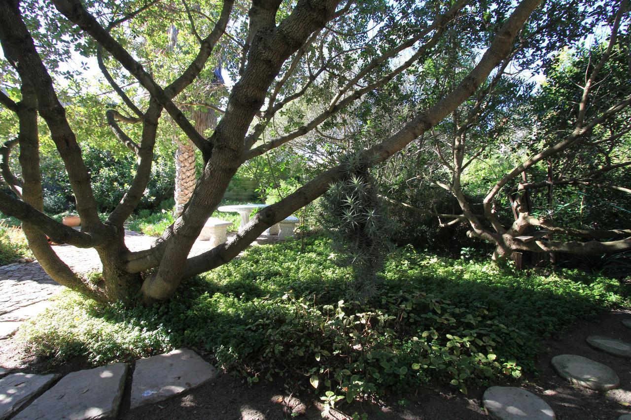 Haven of Peace&Garden Cottage Hermanus Buitenkant foto